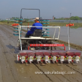 Rice hole direct seeding machine operation